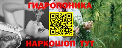 стафф Бугуруслан