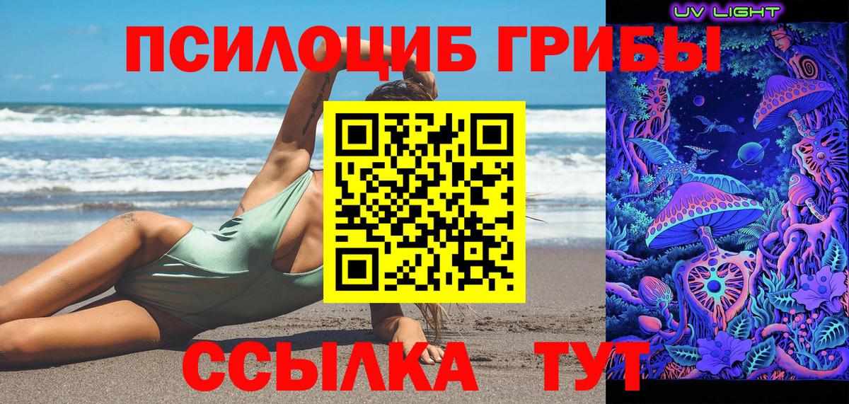 Псилоцибиновые грибы GOLDEN TEACHER  Вход с VPN  Черногорск 